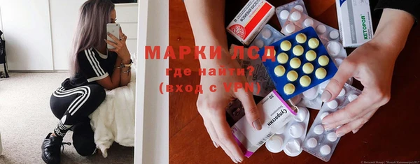 хмурый Верея