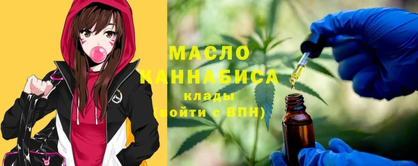 хмурый Верея
