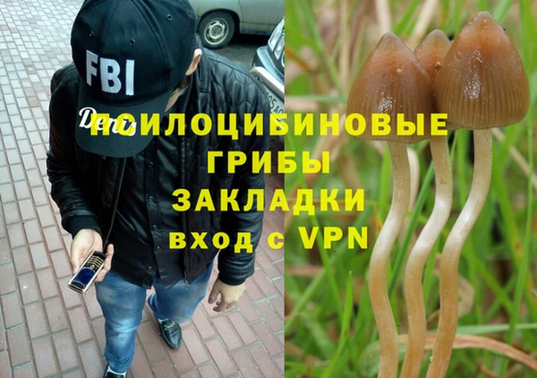 хмурый Верея
