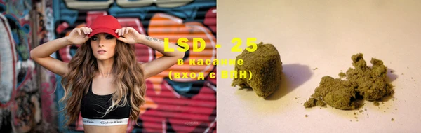 хмурый Верея