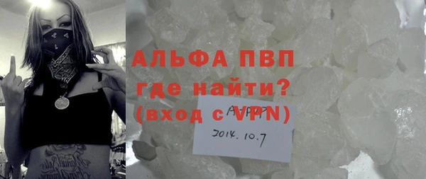 хмурый Верея