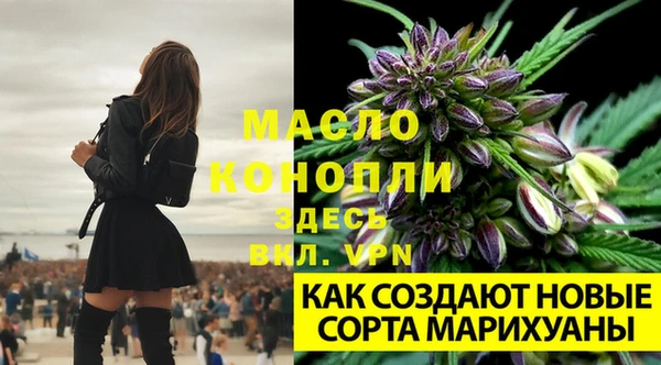 каннабис Снежногорск