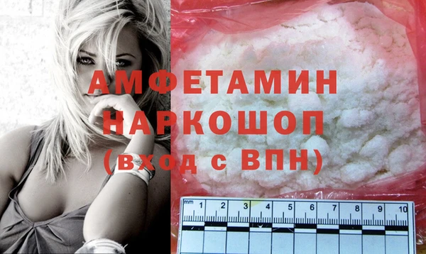 хмурый Верея