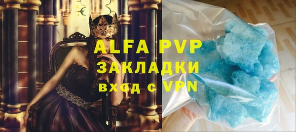 хмурый Верея
