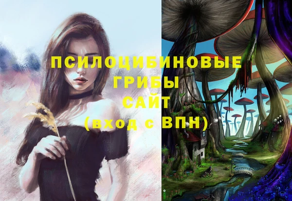 хмурый Верея