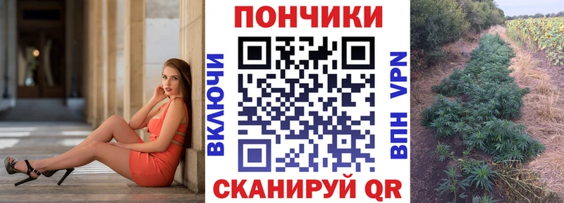 Бошки Шишки план  даркнет сайт  Калуга 